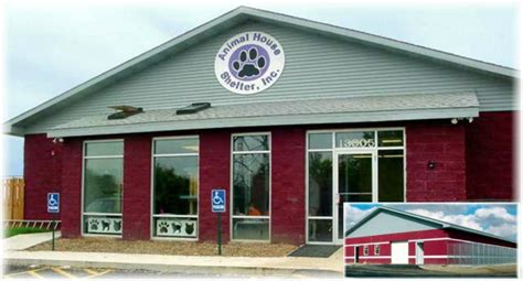 huntley dog shelter|no kill dog shelter near me.